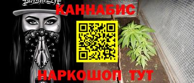 амф Новоалтайск