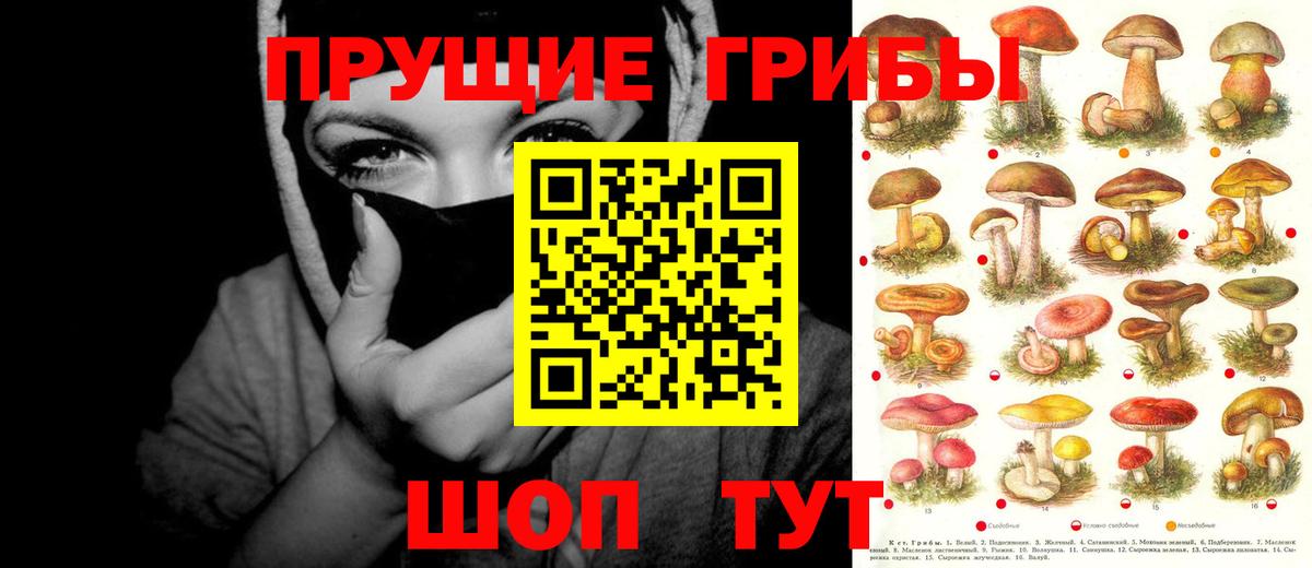 Галлюциногенные грибы прущие грибы Дубна